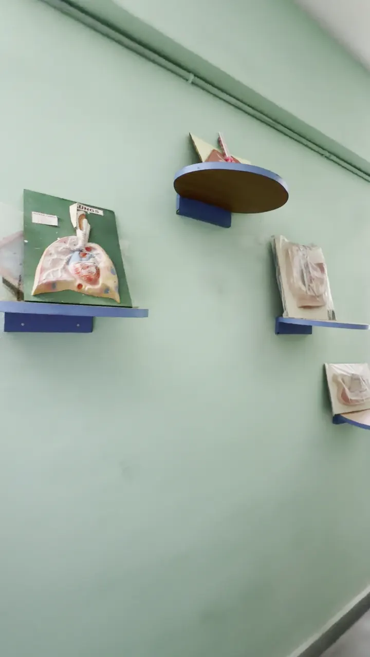 Biology Laboratory with Models and Specimens