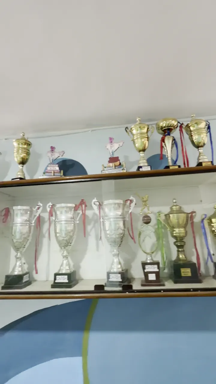 Trophies Won by Darsh Students
